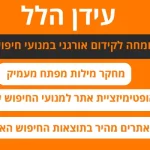 SEO קידום אורגני בגוגל